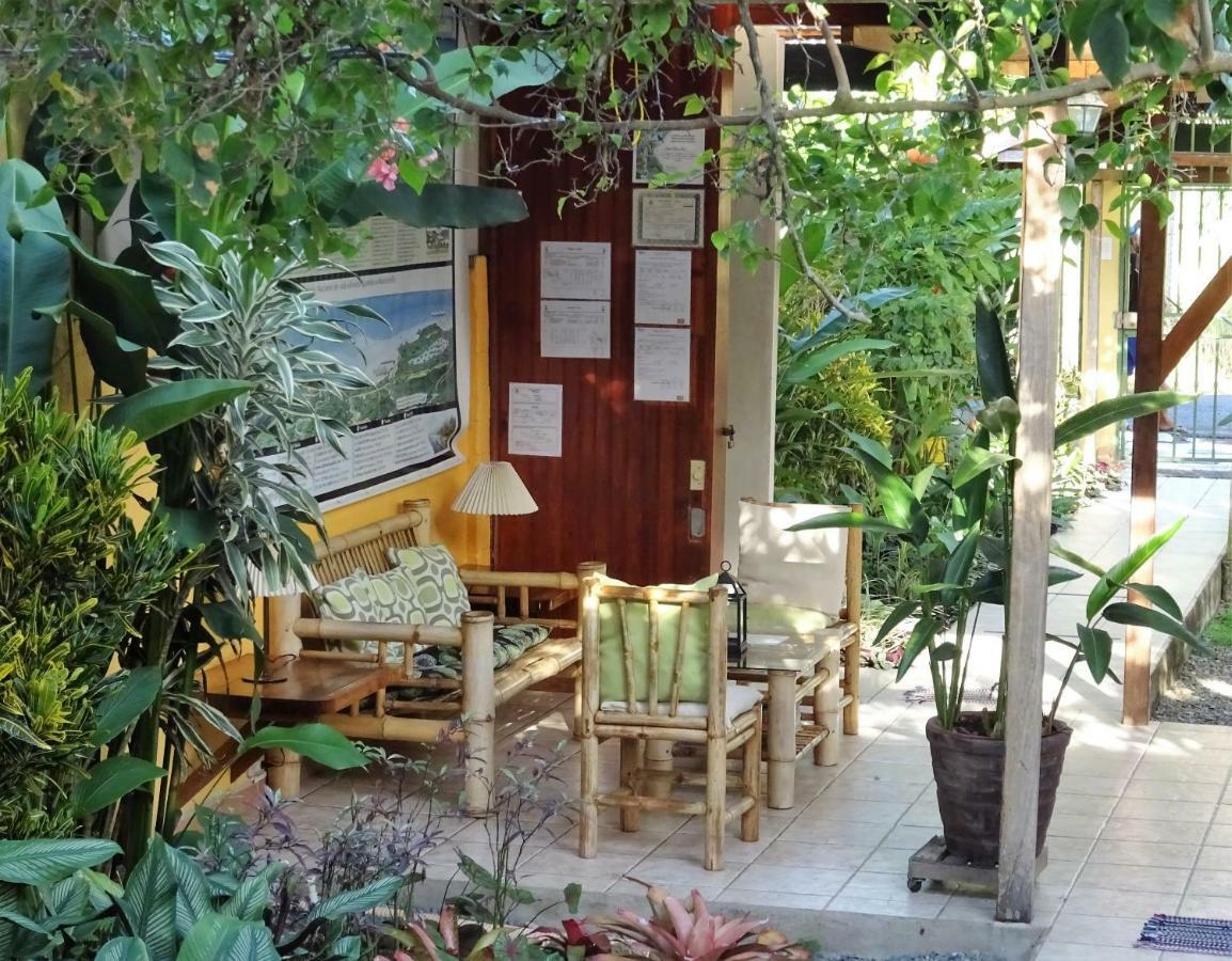 Hotel Pura Vida Puerto Viejo de Talamanca Exterior photo